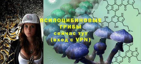 прущие крисы Баксан