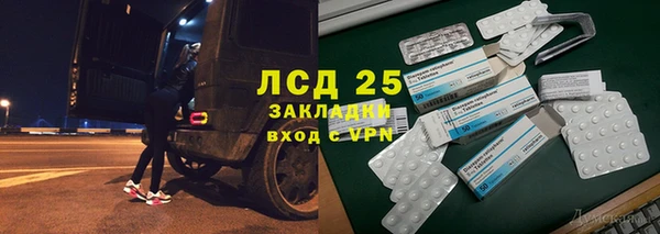 ГАЛЛЮЦИНОГЕННЫЕ ГРИБЫ Балабаново