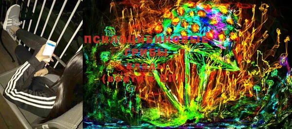 прущие крисы Баксан