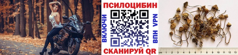Псилоцибиновые грибы GOLDEN TEACHER  Костомукша 